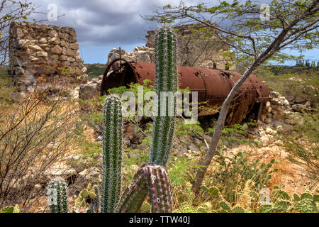 Balashi Gold Mühlen Ruinen, Aruba Stockfoto