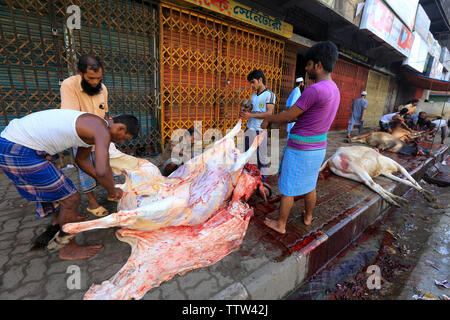 Tiere in der Straße für die größten muslimischen Fest Eid-ul-Azha auch als der Eid des Opfers bei Dhaka, Bangladesch bekannt geschlachtet. Stockfoto