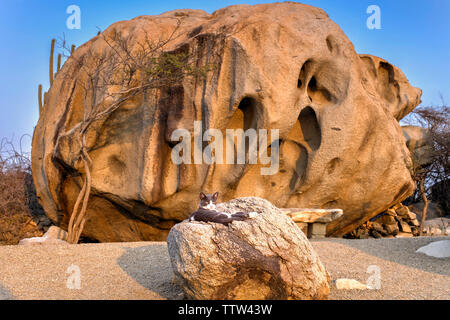 Ayo Rock Formation, Aruba Stockfoto