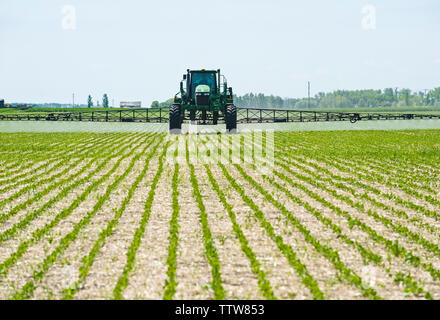 Eine hohe Bodenfreiheit Feldspritze gibt einen Boden chemische Anwendung von Herbiziden zu frühen Wachstum Sojabohnen, in der Nähe von Niverville, Manitoba, Kanada Stockfoto