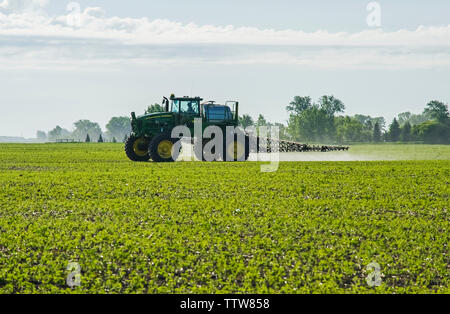 Eine hohe Bodenfreiheit Feldspritze gibt einen Boden chemische Anwendung von Herbiziden zu frühen Wachstum Sojabohnen, in der Nähe von Niverville, Manitoba, Kanada Stockfoto