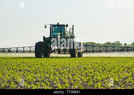 Eine hohe Bodenfreiheit Feldspritze gibt einen Boden chemische Anwendung von Herbiziden zu frühen Wachstum Sojabohnen, in der Nähe von Niverville, Manitoba, Kanada Stockfoto