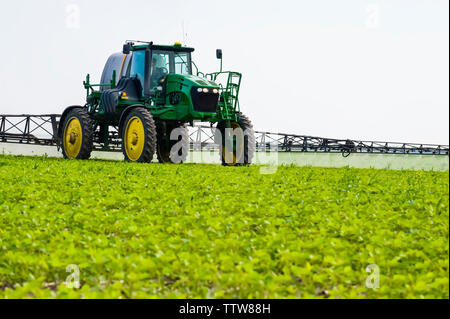 Eine hohe Bodenfreiheit Feldspritze gibt einen Boden chemische Anwendung von Herbiziden zu frühen Wachstum Sojabohnen, in der Nähe von Niverville, Manitoba, Kanada Stockfoto