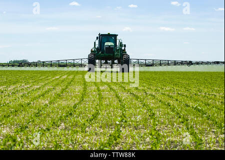 Eine hohe Bodenfreiheit Feldspritze gibt einen Boden chemische Anwendung von Herbiziden zu frühen Wachstum Sojabohnen, in der Nähe von Niverville, Manitoba, Kanada Stockfoto