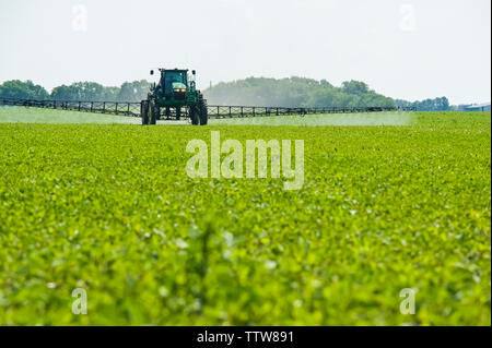 Eine hohe Bodenfreiheit Feldspritze gibt einen Boden chemische Anwendung von Herbiziden zu frühen Wachstum Sojabohnen, in der Nähe von Niverville, Manitoba, Kanada Stockfoto