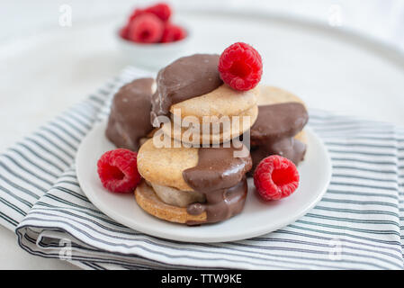 Ice Cream Sandwich Stockfoto