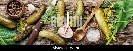 Marinierte Salzgurken. Gewürzgurken mit Kräutern und Gewürzen. Zutaten zum Kochen Gewürzgurken Stockfoto