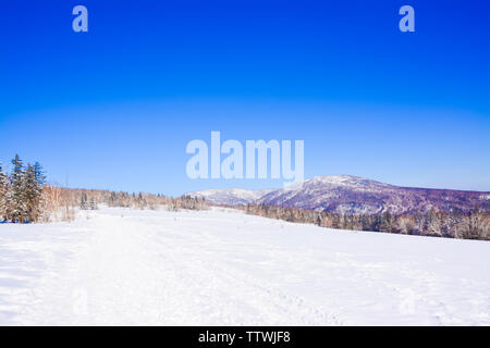 Snowscape, der Bilder einstellen. Stockfoto