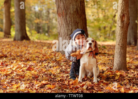 Fröhliches kleines Mädchen umarmt sie Hund. Kleines Mädchen mit Beagle draußen im Herbst Park. Stockfoto