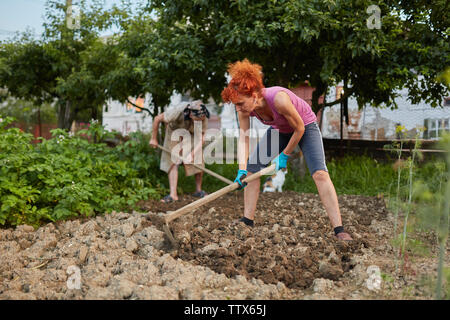 Bauer Dame und ihrer Tochter Hacken im Garten Stockfoto