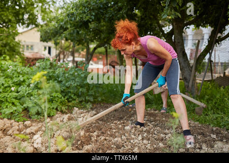 Bauer Dame und ihrer Tochter Hacken im Garten Stockfoto