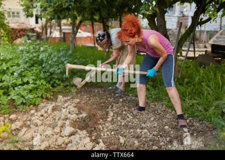 Bauer Dame und ihrer Tochter Hacken im Garten Stockfoto