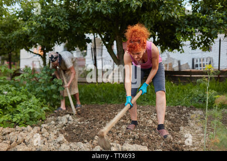 Bauer Dame und ihrer Tochter Hacken im Garten Stockfoto