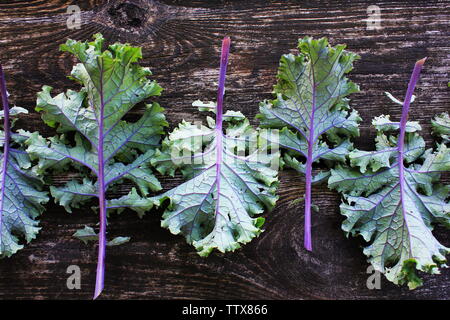 Rote Blätter oder Russischen kale Kale auf dunklem Hintergrund. Stockfoto