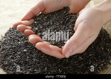 Weibliche Hände voll von dunklen Wildreis closeup Stockfoto