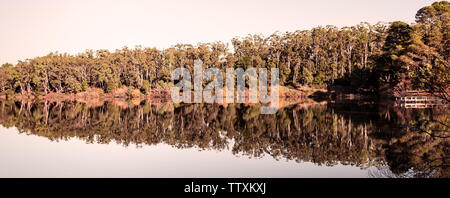 Reflexionen über Bäume in Lake Daylesford am Goldenen Stunde Stockfoto