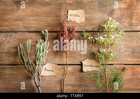 Sammlung von Blumen auf Holz- Hintergrund Stockfoto