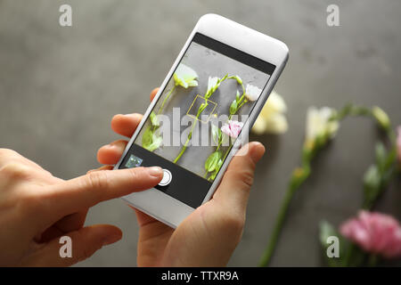 Weibliche Hände unter Foto von schönen Blumen mit Smartphone Stockfoto