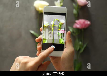 Weibliche Hände unter Foto von schönen Blumen mit Smartphone Stockfoto