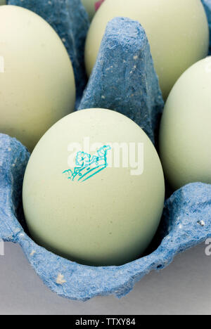 Alte Cotswold Legbar Eier Stockfoto