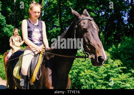 Achal Tekkiner Pferdes. Schnauze reinrassiges Achal Tekkiner Pferde, Foto im Freien. Von einem jungen Reiter geritten. Sankt Petersburg. Russland. 06.18 2019 Stockfoto