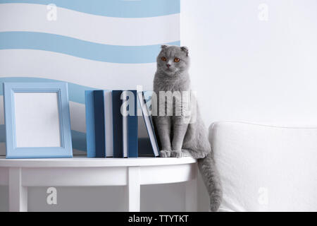 Katze sitzt im Zimmer mit Büchern und leeren Bilderrahmen an der Wand Hintergrund Stockfoto