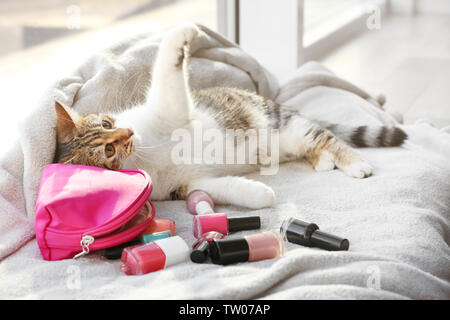 Cute Funny Cat und Nagellacke auf Fensterbank bedeckt mit Plaid Stockfoto