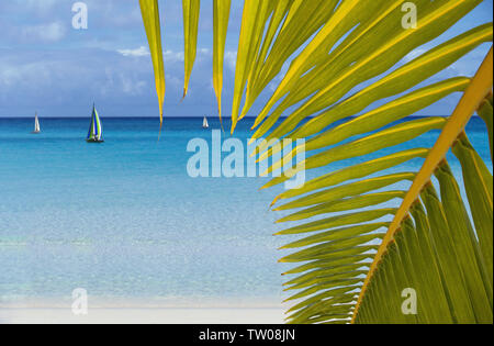 Das Meer durch ein Palmblatt betrachtet Stockfoto