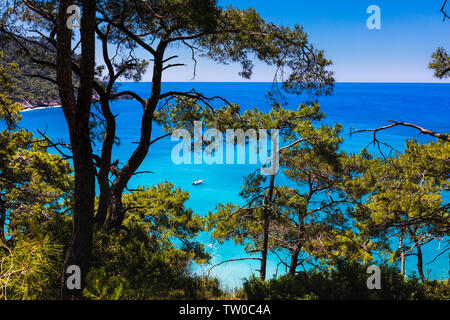 Malerische Küste von Tukey mit grünen Bäumen und azurblauen Meer Stockfoto