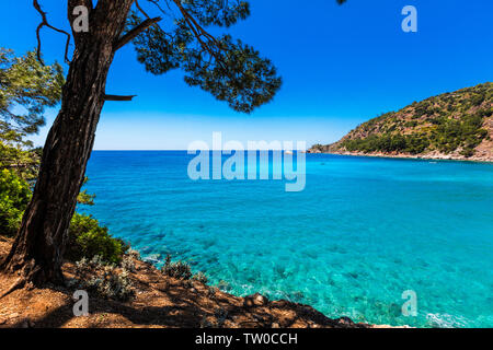 Malerische Küste von Tukey mit grünen Bäumen und azurblauen Meer Stockfoto