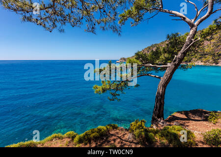 Malerische Küste von Tukey mit grünen Bäumen und azurblauen Meer Stockfoto