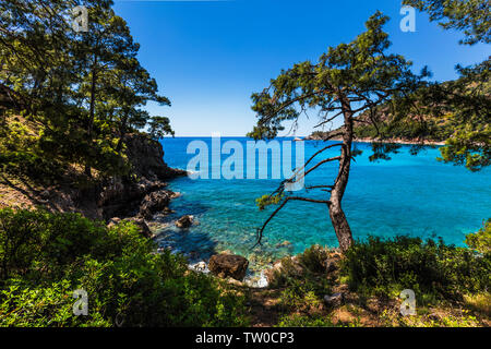 Malerische Küste von Tukey mit grünen Bäumen und azurblauen Meer Stockfoto