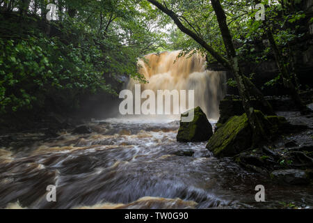 Summerhill Kraft, Bowlees, Teesdale, County Durham, UK. Stockfoto