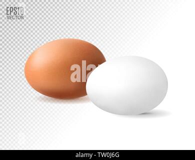 Realistische Hühnerei. Braune und weiße Eier. Isolierte Vektor mockup. Ostern Konzept. Stock Vektor