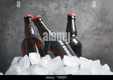 Flaschen Bier in Eis auf grauem Hintergrund Stockfoto