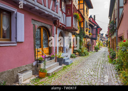 Blühende Gasse im Dorf Eguisheim, Elsass, Frankreich, bunte ursprüngliche Fachwerkhäuser mit Erkern Stockfoto