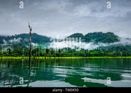 Misty Morning auf Cheow Lan Lake in Khao Sok Nationalpark, Thailand Stockfoto