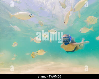 Glückliche Frau in Schnorcheln Maske Tauchen Unterwasser mit tropischen Fische im Korallenriff Meer Pool. Reisen, Wassersport Abenteuer im Freien, Schwimmen Stockfoto