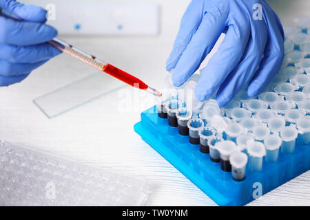 Wissenschaftler arbeiten mit Blutproben im Labor Stockfoto