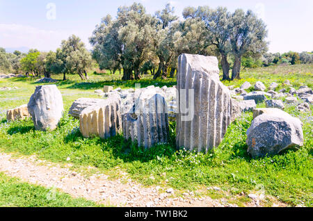 Ruinen von Teos alten Stadt. Sigacik, Seferihisar, Izmir, Türkei Stockfoto