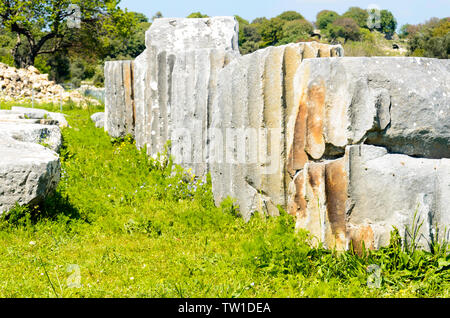 Ruinen von Teos alten Stadt. Sigacik, Seferihisar, Izmir, Türkei Stockfoto