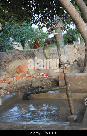 Wasserpumpe unter dem Baum, Indien Stockfoto