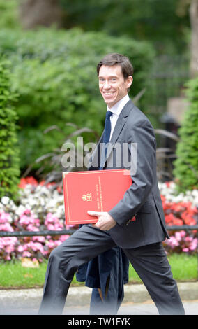 London, Großbritannien. Juni, 2019 18. Rory Stewart (Internationale Entwicklung) kommt in der Downing Street für eine Sitzung an Nr. 10 Stockfoto