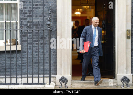 London, Großbritannien. Juni, 2019 18. Sajid Javid (Home Secretary), Downing Street nach einem Treffen in Nr. 10 - ignoriert von Larry die Katze Stockfoto