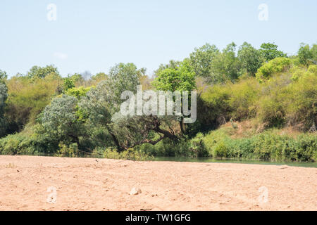 Daly River Szene mit Buschland, Sandstrand und blauer Himmel in Daly im Northern Territory von Australien Stockfoto