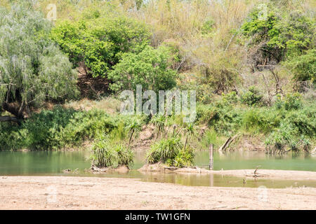 Daly River Szene mit Buschland, Sandstrand und blauer Himmel in Daly im Northern Territory von Australien Stockfoto