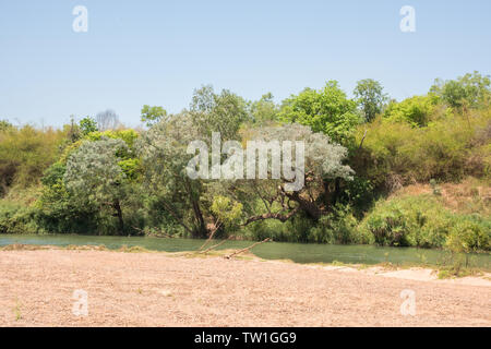 Daly River Szene mit Buschland, Sandstrand und blauer Himmel in Daly im Northern Territory von Australien Stockfoto