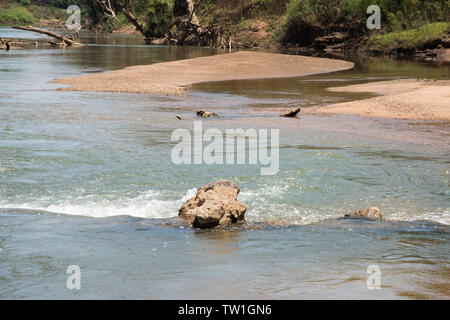 Daly River Szene mit Buschland und sandigen Ufer in Daly im Northern Territory von Australien Stockfoto