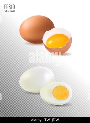 Hart gekochte und rohe Eier realistisch gesetzt auf transparentem Hintergrund Vektor-illustration isoliert Stock Vektor