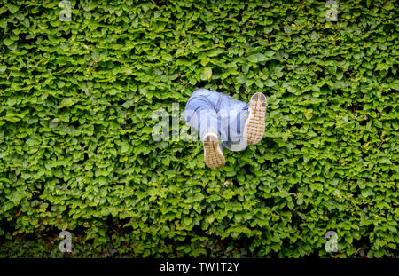 Eine Vogelscheuche ist in einer Hecke platziert eine Person tauchen für die Abdeckung von der schnelleren Autofahrer in Ardingly, West Sussex, UK zu simulieren. Stockfoto